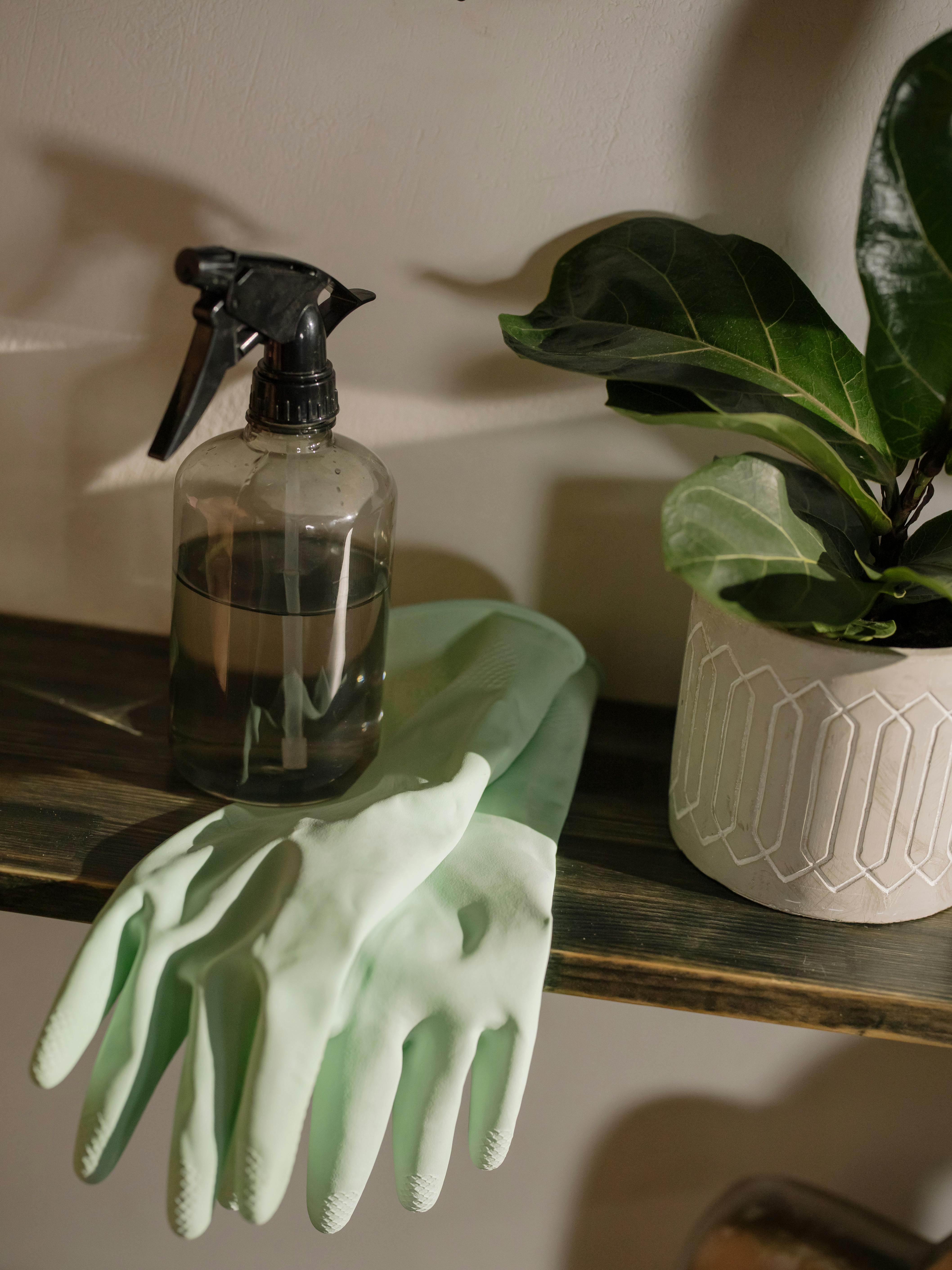 Household essentials arranged neatly